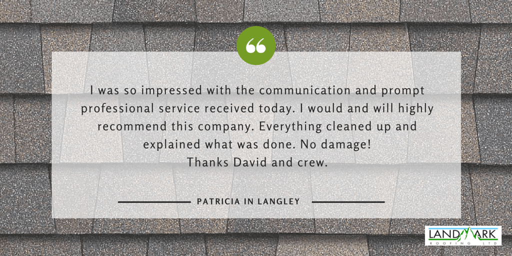 Langley roofing testimonial for Landmark Roofing from Patricia.